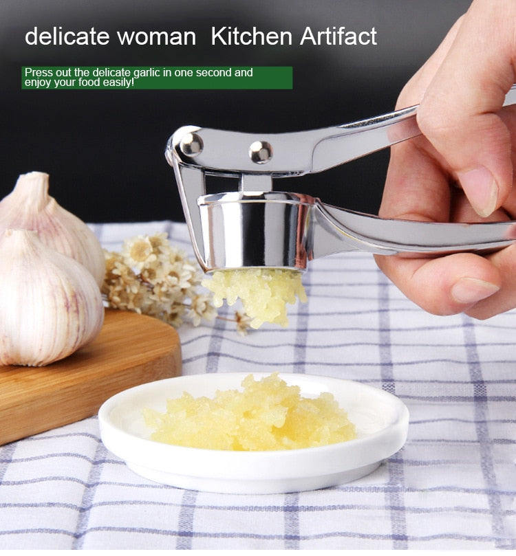 Stainless Steel Kitchen Garlic Masher & Ginger Grinder Tool - UTILITY5STORE