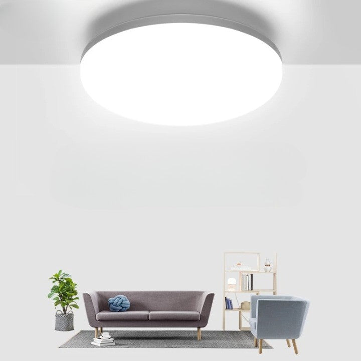 Natural Room Sleek LED Ceiling Light