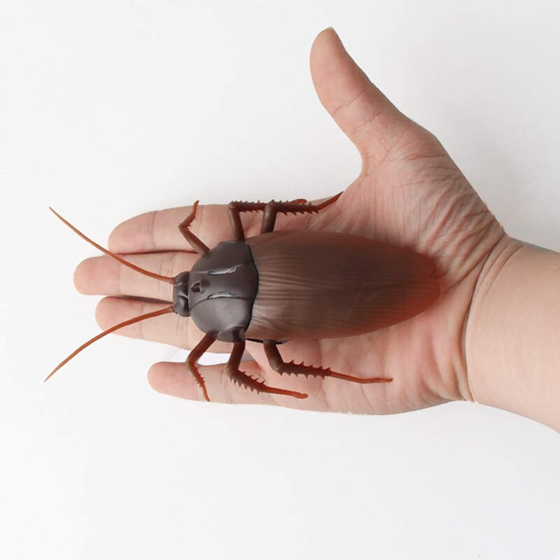 Remote Controlled Cockroach Bug Toy