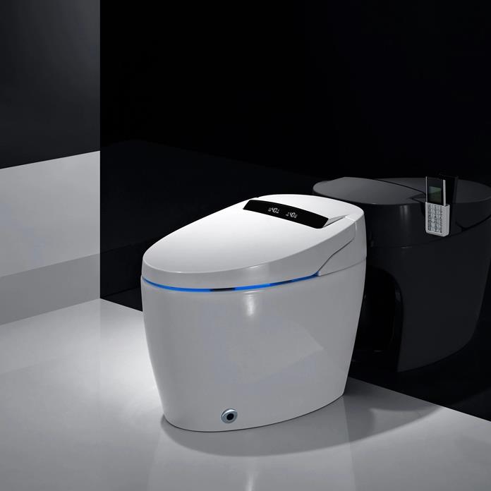 Elegant Smart Futuristic Self-Cleaning Toilet