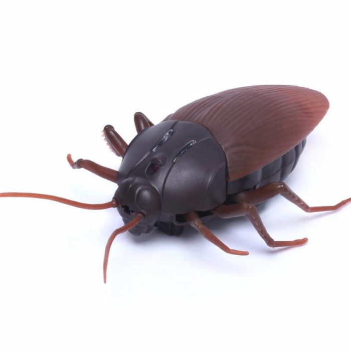 Remote Controlled Cockroach Bug Toy