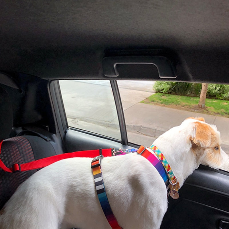 Adjustable Secure Pet Car Seat Belt