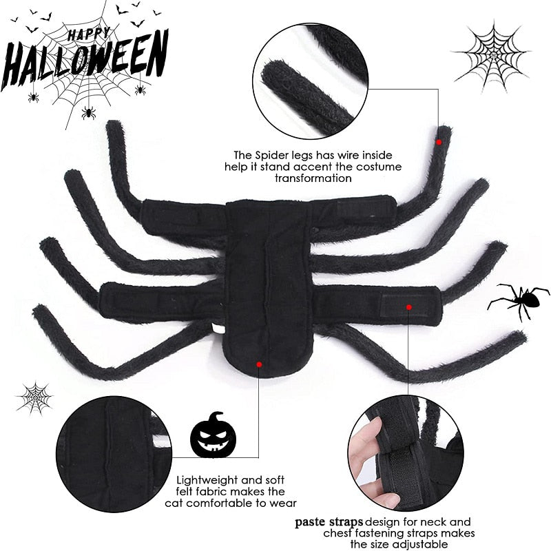 Black Spider Pet Costume