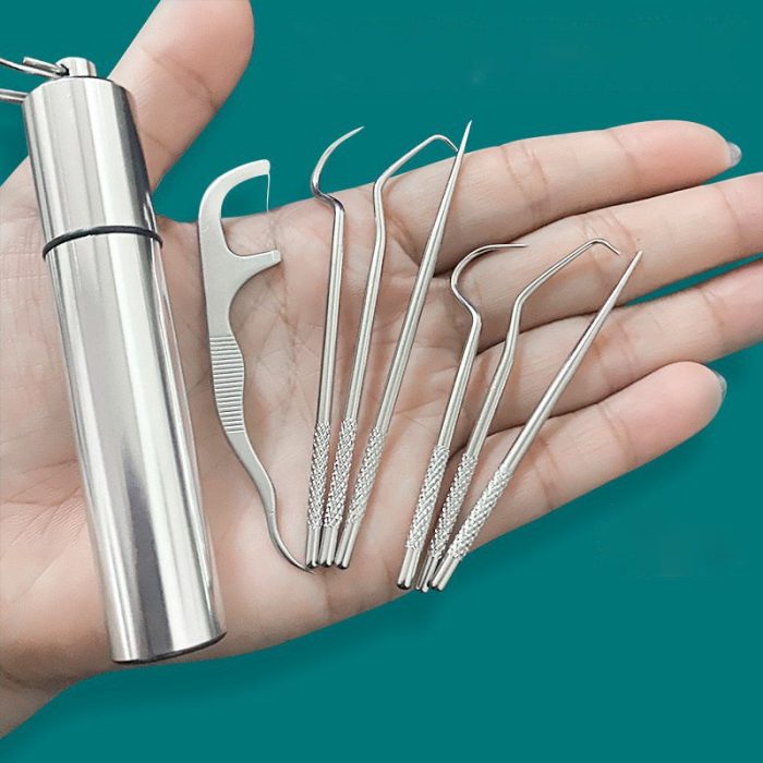 Minty Portable Metal Toothpick Cleaner Set