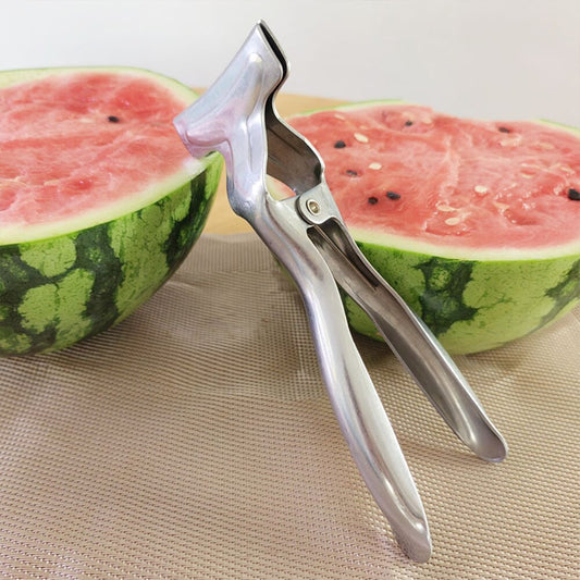 Stainless Steel Watermelon Cut in Half Tool