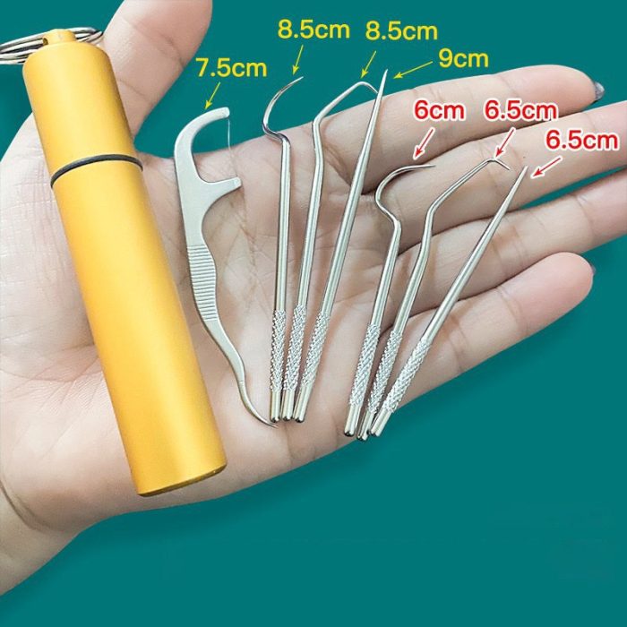 Minty Portable Metal Toothpick Cleaner Set