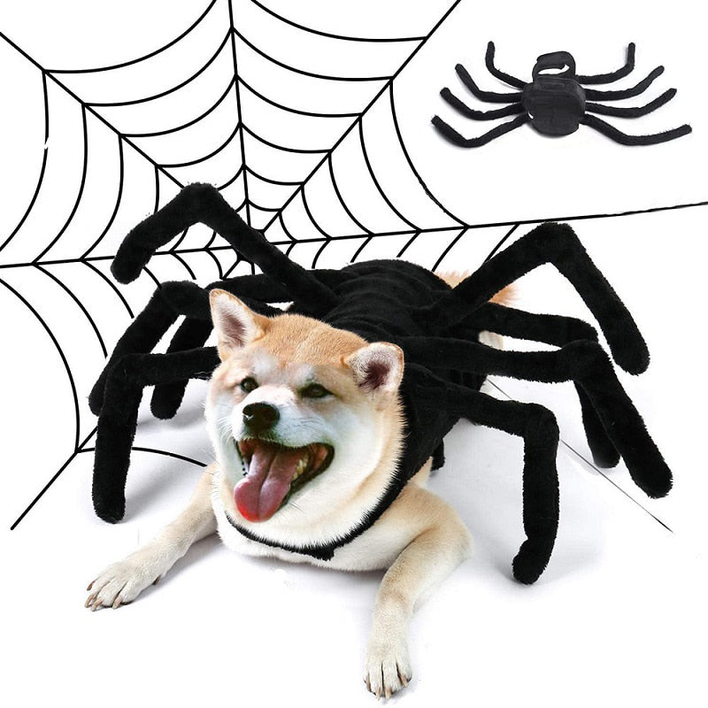 Black Spider Pet Costume