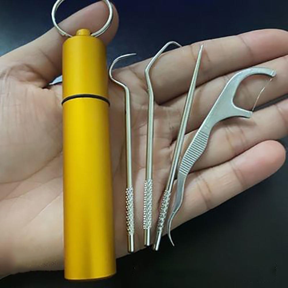 Minty Portable Metal Toothpick Cleaner Set