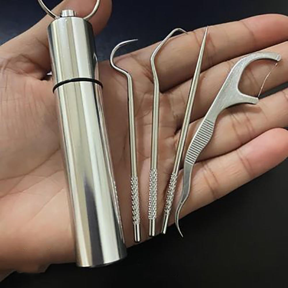 Minty Portable Metal Toothpick Cleaner Set