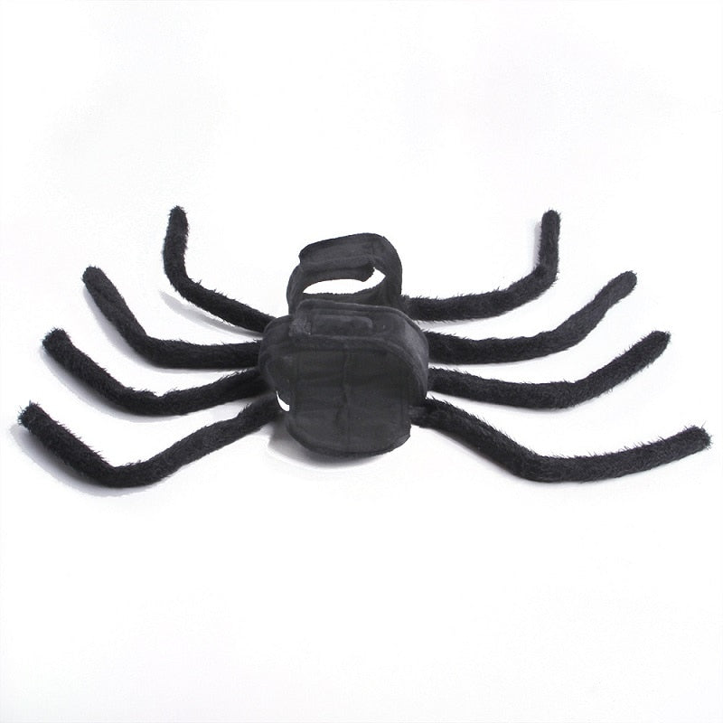 Black Spider Pet Costume