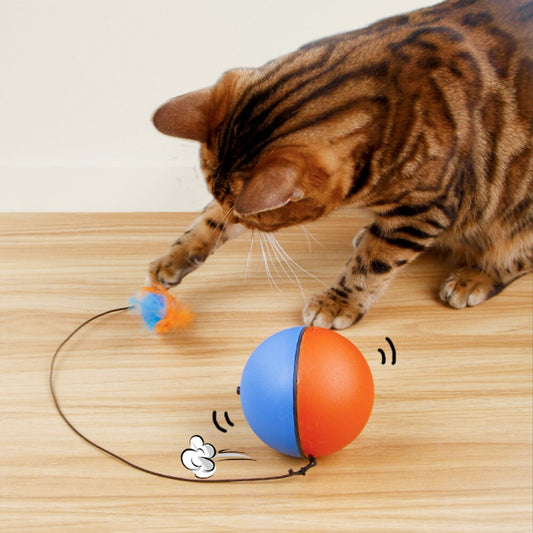 Game Master Automatic Running Cat Ball Toy - Happy2Cats