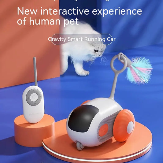 Gravity Cat Car Toy - Interactive Fun