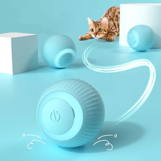 Rolling Electric Cat Ball