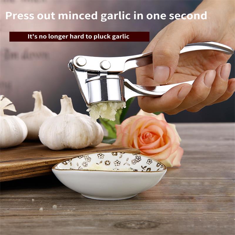 Stainless Steel Kitchen Garlic Masher & Ginger Grinder Tool - UTILITY5STORE