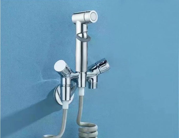 Wall Mounted Elegant Faucet Bidet Spray