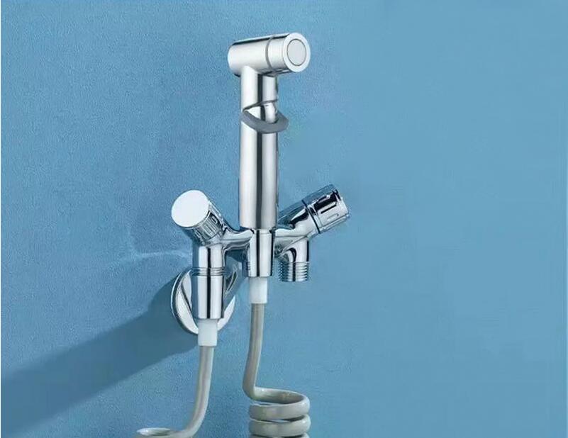 Wall Mounted Elegant Faucet Bidet Spray