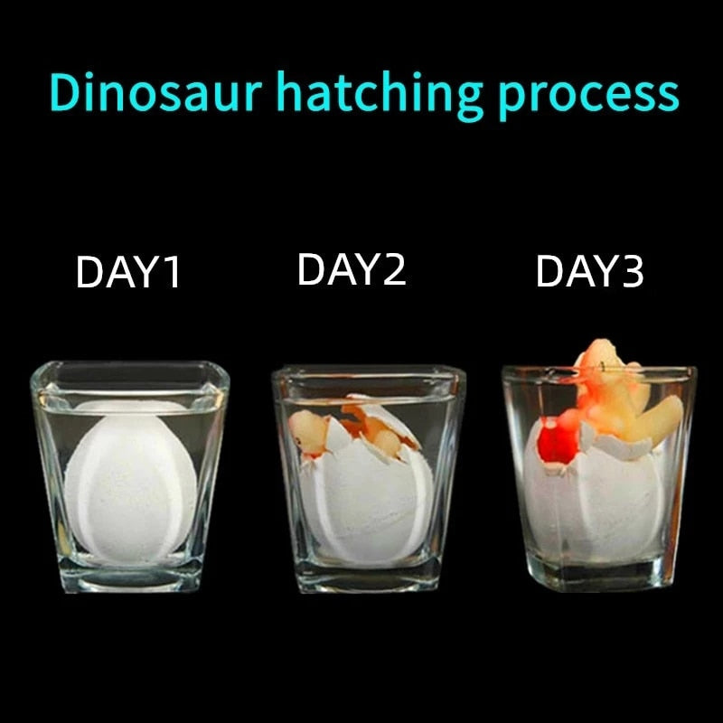 Dinosaur Hatching Magic Water Growing Egg