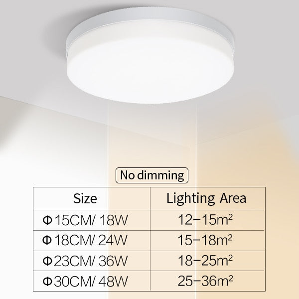 Natural Room Sleek LED Ceiling Light