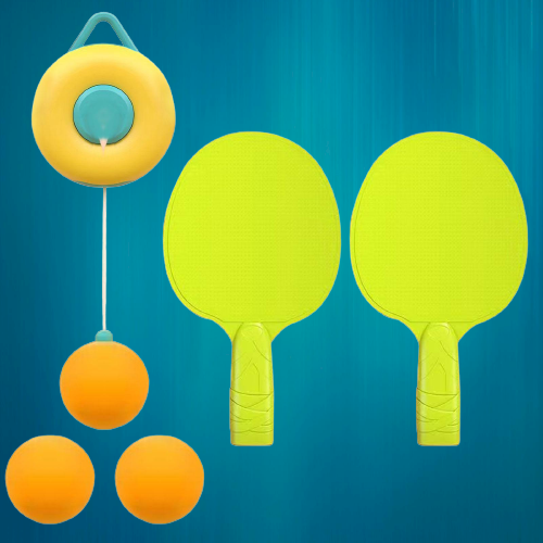 Self Trainer Interactive Ping Pong Toy