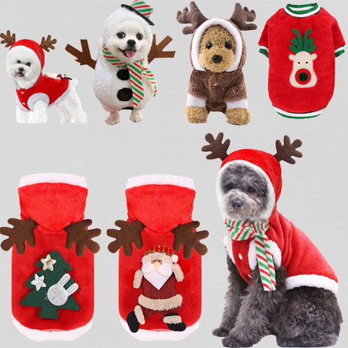 Santa Claus Home Winter Pet Costumes