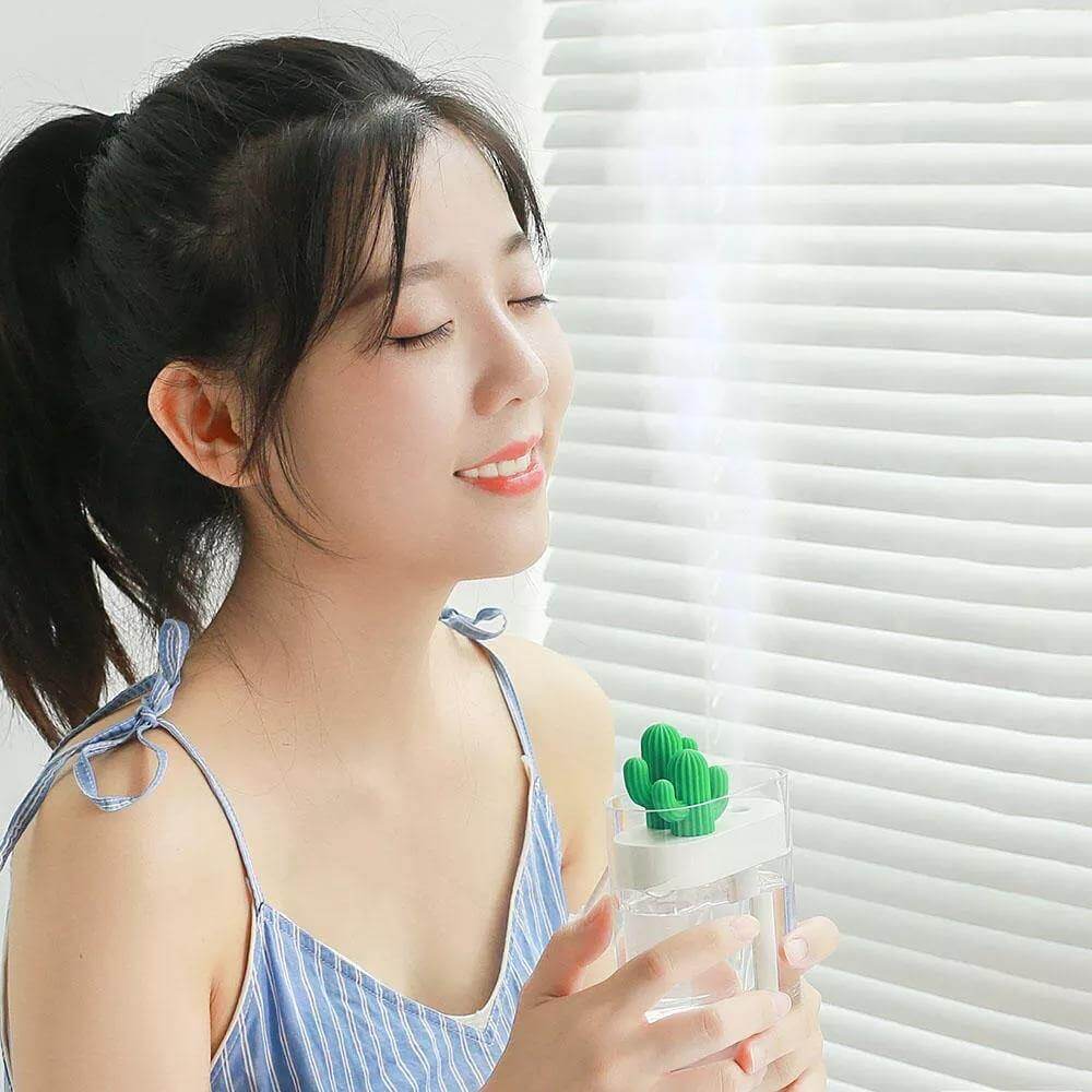 Ultrasonic Cactus Air Humidifier