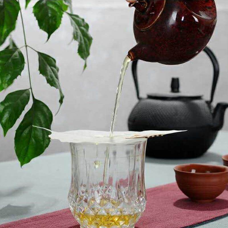 2pcs Bodhi Leaf Creative Tea Filter - UTILITY5STORE