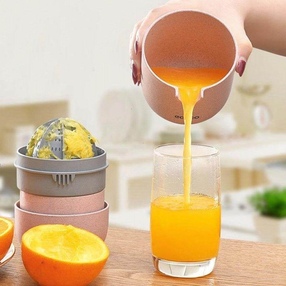 Portable Simple Pastel Mini Juicer