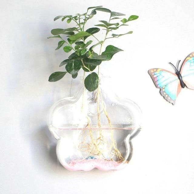 Wall Hanging Hydroponic Glass Vases