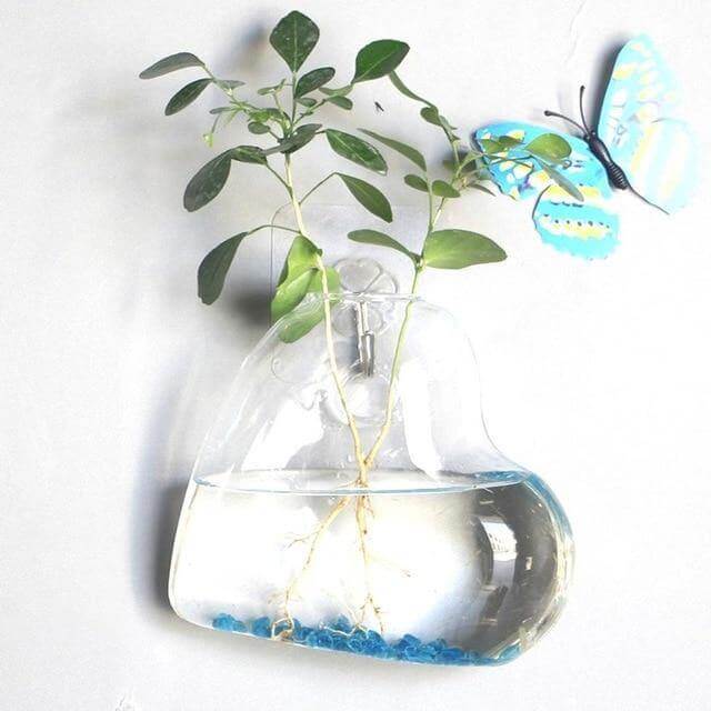 Wall Hanging Hydroponic Glass Vases