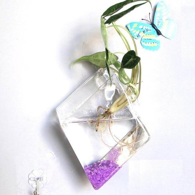 Wall Hanging Hydroponic Glass Vases