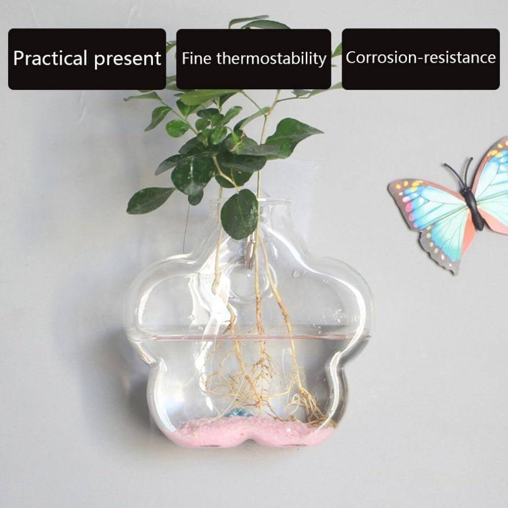 Wall Hanging Hydroponic Glass Vases