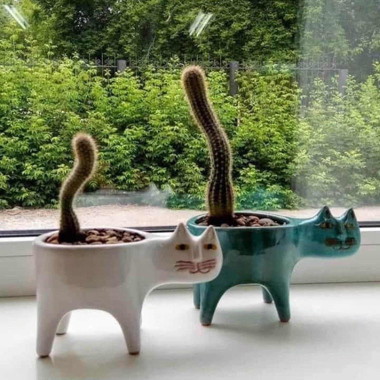 Lovely Ceramic Cat Plant Vase