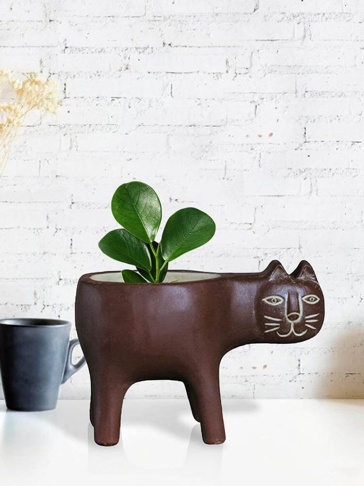 Lovely Ceramic Cat Plant Vase
