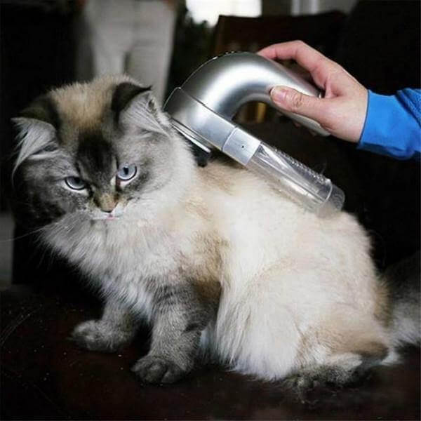 Electric Cordless Pet Hair Vacuum