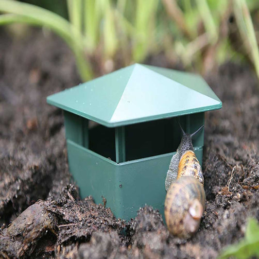 Eco-Friendly Farm Protector Insect Trap Box