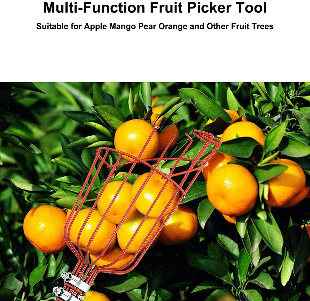 High Branch Fruit Picker