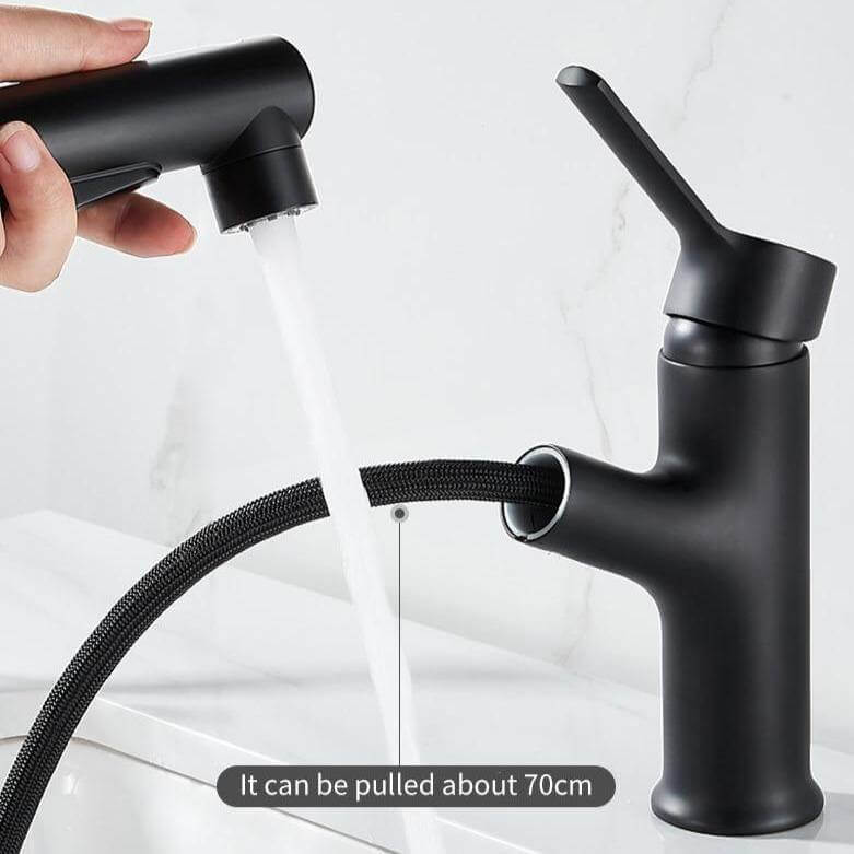 Luxury 360 Rotating Pull Out Sink Faucet