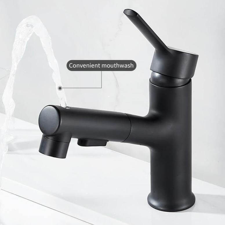 Luxury 360 Rotating Pull Out Sink Faucet