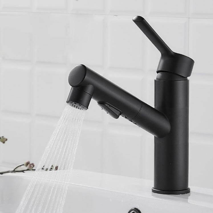 Luxury 360 Rotating Pull Out Sink Faucet