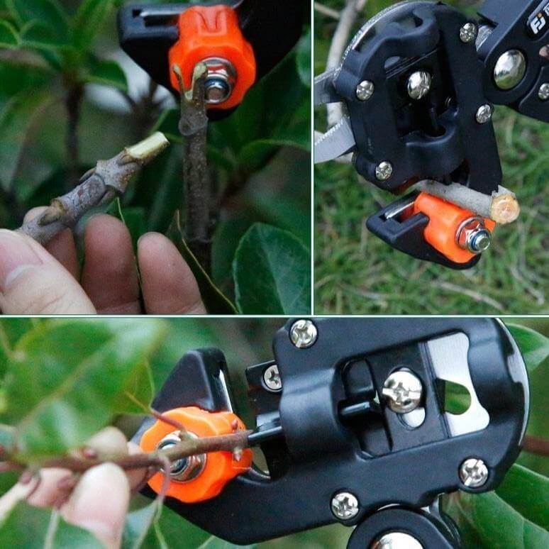 3 Style Multifunctional Fruit Tree Scissor - UTILITY5STORE