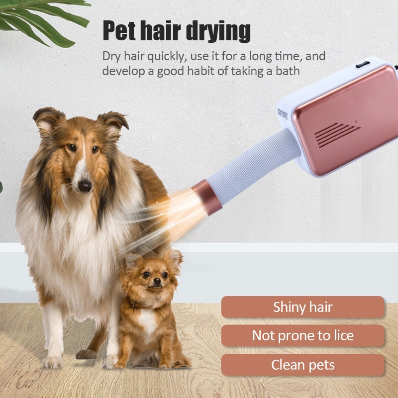 Portable Electric Fan Rotating Dryer