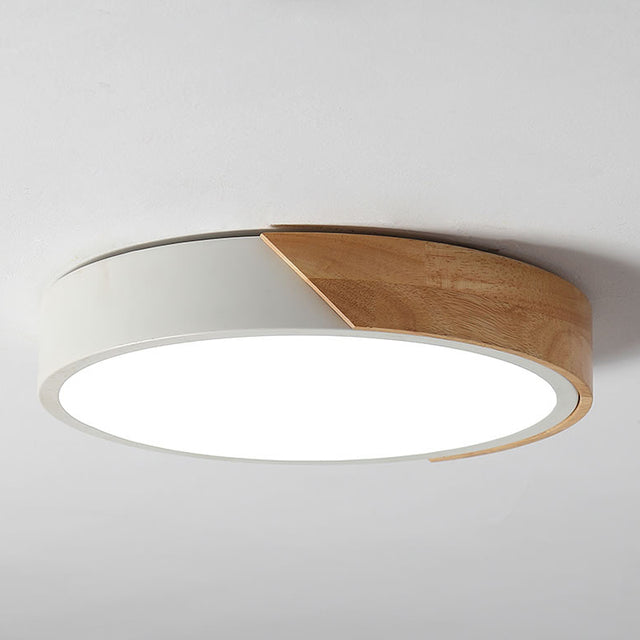 Modern LED Ceiling Light