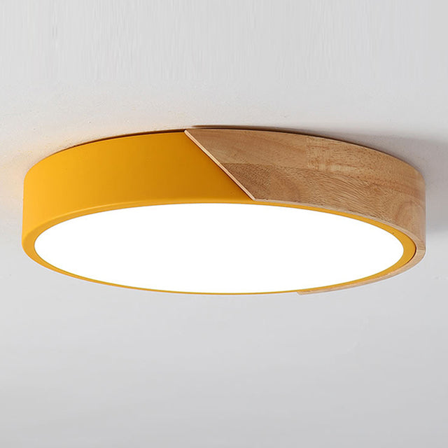 Modern LED Ceiling Light