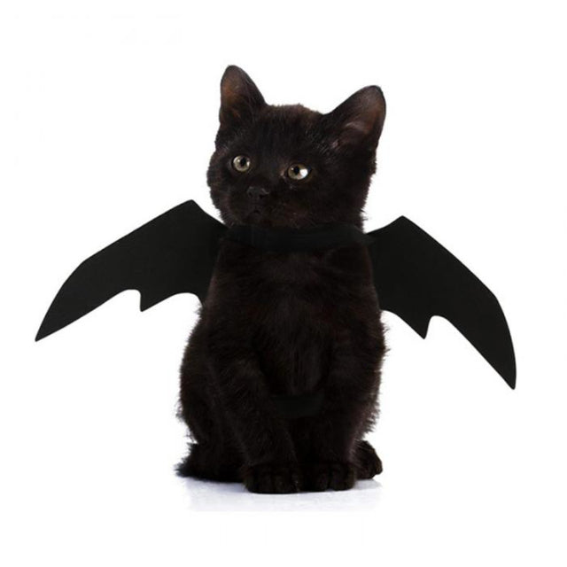 Pet Costume Bat Wing