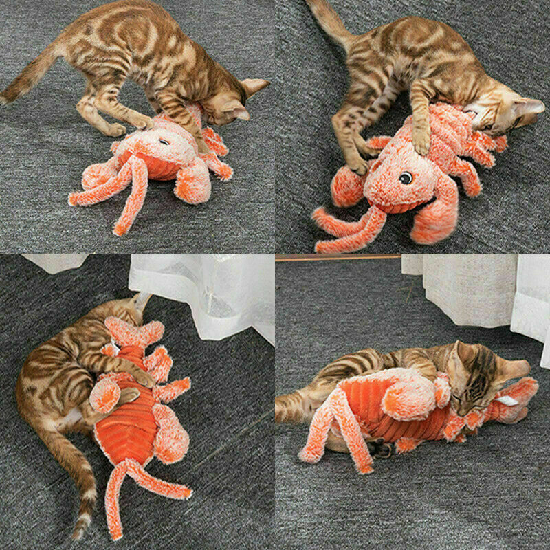 Cat Floppy Interactive Lobster Plush Toy
