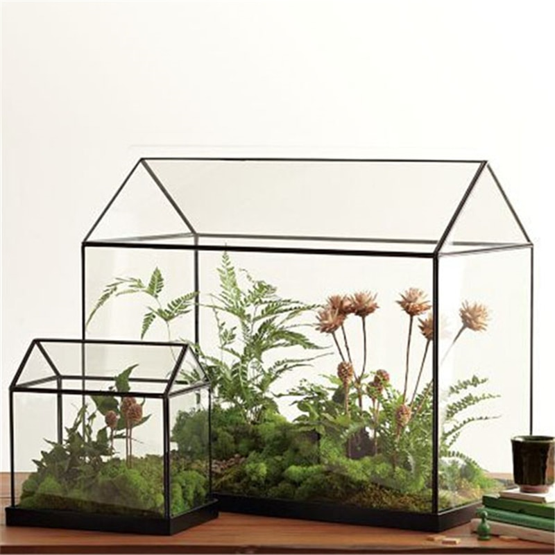 Mini Tabletop Handmade GreenHouse Terrarium